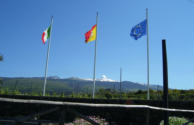 Etna Wine Agriturismo - Foto 41