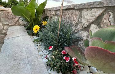 Haris Suites - Photo 11