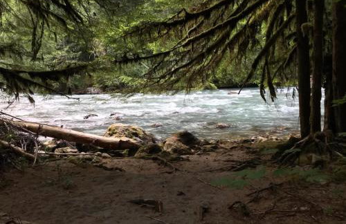 Mt Baker Den, Sleeps 4 - Foto 44
