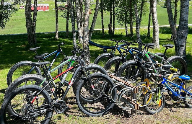 Birkelund Camping - Photo 14