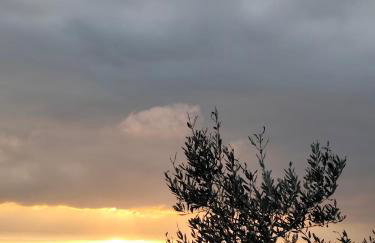 App Bonić - Foto 39