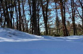 Woods Etna Chalet - Photo 24