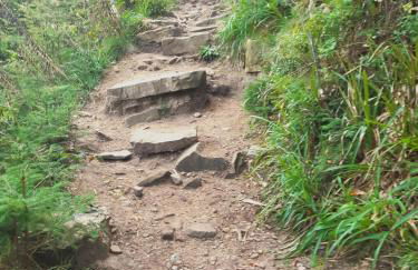 FeWo Schwarzwald von oben - Kniebis - Foto 21