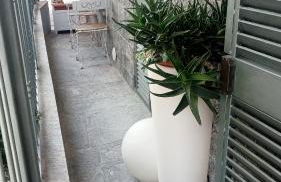 Sally's House - Photo 24