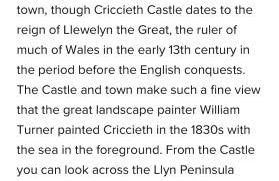 Caban Y Tan Dderwen with private Wood Fired Hot Tub - Foto 42