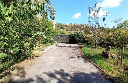 La terra dei ciliegi tra l'Etna e il mare di Taormina - Foto 22