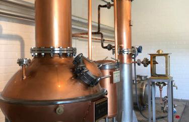 Podere Castellare - Photo 17