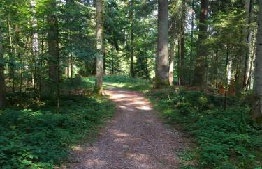 Blackforest Apartment - Foto 41