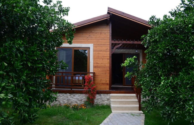 Villa Bilge - Foto 43