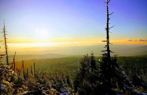 Komfort-Fewo Sylvia - Foto 25