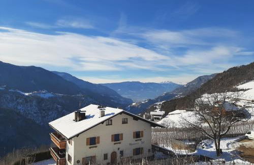 Ferienbauernhof Masunerhof - Foto 2