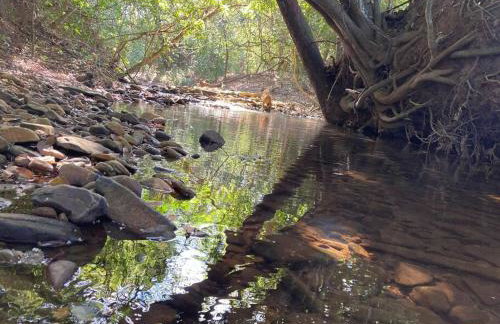 Casa temporada cantinho da paz - Foto 14