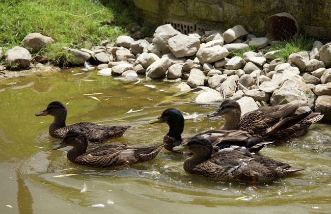 Cottage in Todi With Pool and Terrace - Foto 22