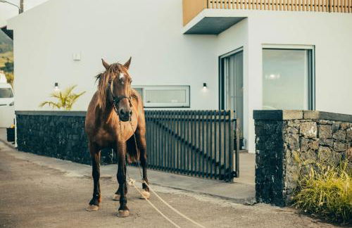 Nascer Do Sol Retreat Villa - Photo 23