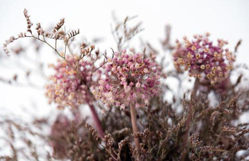 Casa Dorotea Attico Panoramico centro storico - Foto 19