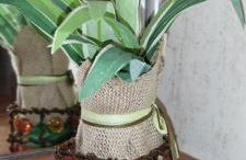 OROEL Beds & Dreams - Espectacular planta baja en Badaguás-Pirineo - Foto 20