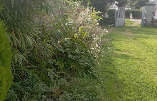 Cottage cosy en pierres à 25 mn de la côte de Granit rose - Foto 17