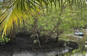 Casa Praia Toquinho Porto de Galinhas - Photo 11