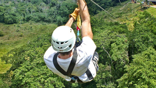 Ziplining in Monkeyland - Foto 3