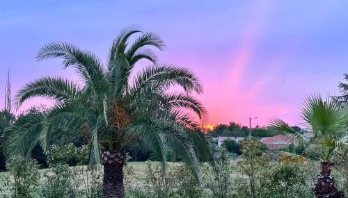 Le Nid au Jardin - Foto 4