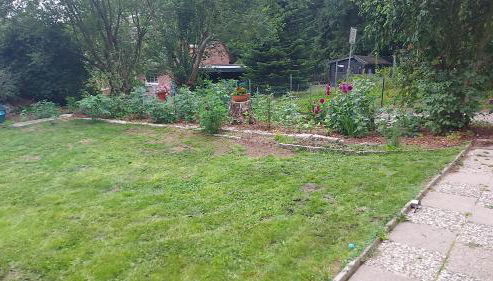 Ferienhaus in Geesthacht-Tesperhude direkt am Waldrand - Foto 5, Garden, Garden view