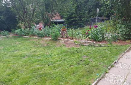 Ferienhaus in Geesthacht-Tesperhude direkt am Waldrand - Foto 5