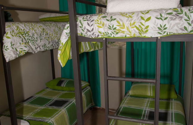 Near2Numbi - Foto 14