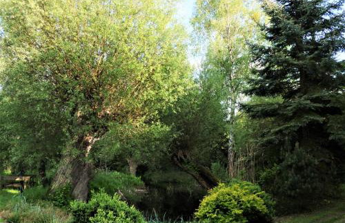 Gosciniec Pod Debem - Foto 9