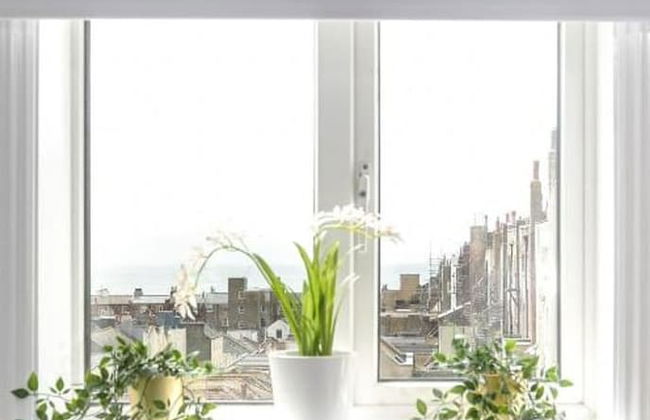 Designer Retreat 5 Location Balcony Parking - Photo 19