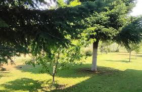 Meteora countryside villa - Foto 58