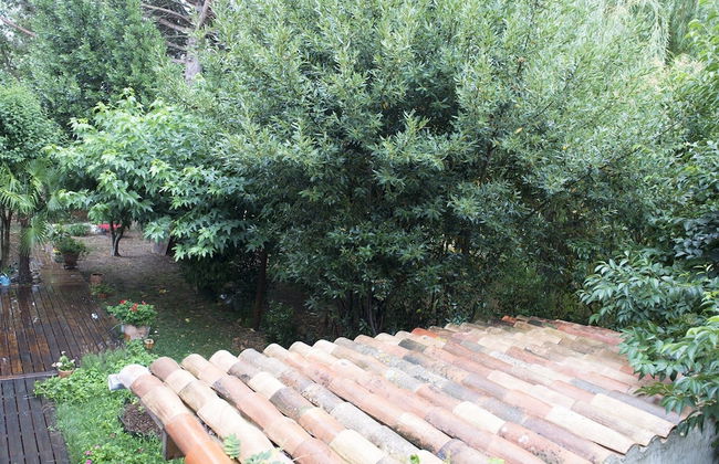 Résidence Aloa - Photo 42