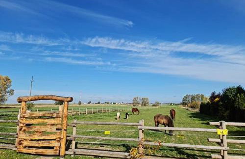 Ranczo Popowice - Foto 21