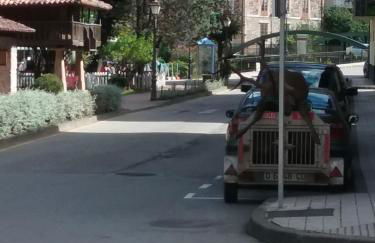 Apartamentos Andrea - Foto 15