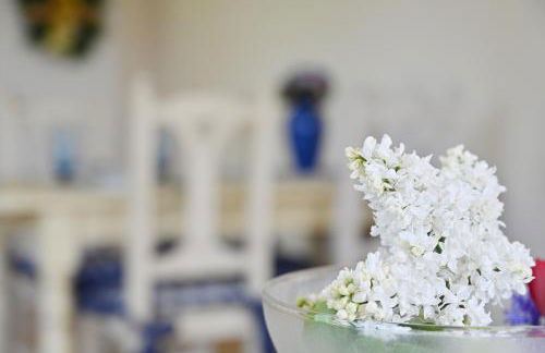 Landhaus Vilmnitz - Wohnung 10 - Foto 12