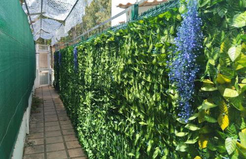 Playa-Pinares-Felicidad PLANTA BAJA - Foto 3