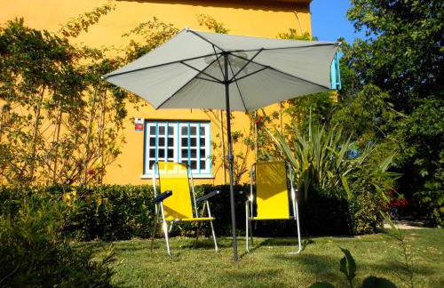 Quinta das Tamengas - Foto 29