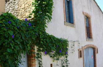 La Cité Secrète - Photo 63