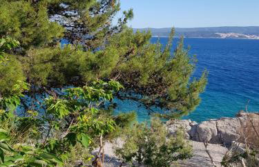 Sita Apartmani - Foto 28