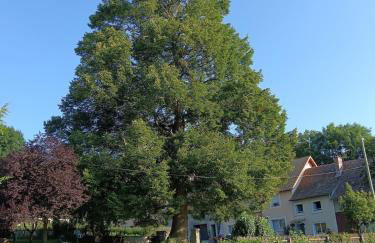 Gîte du Tilleul - Foto 1