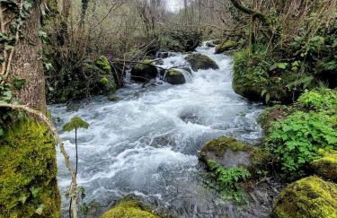 Casa Nayala - Foto 54