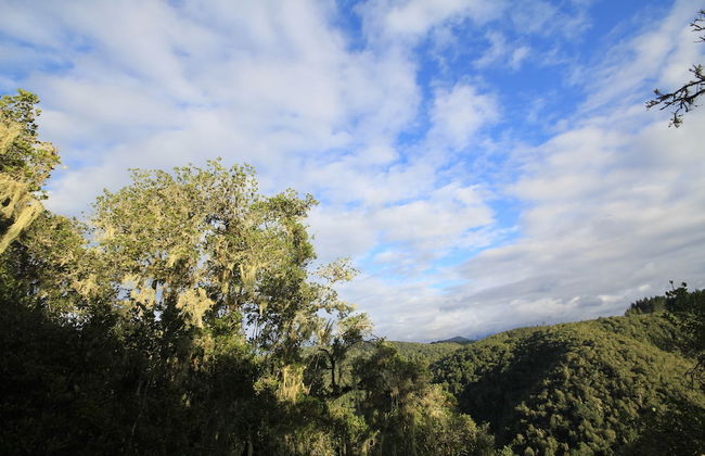 Moon Shine on Whiskey Creek - Foto 50