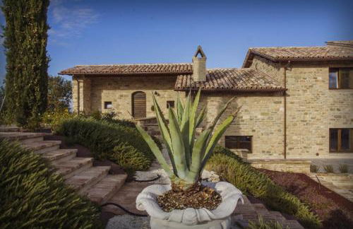 Fattoria Colsanto - Foto 14