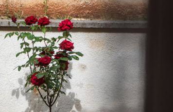 La Finka - villa with a heated pool & sauna - Foto 15