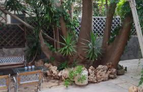 Meravigliosa vista mare da Rita - IUN R7740 - Foto 48