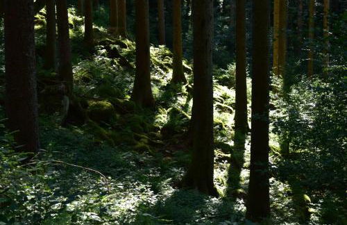 Ferienhaus Nordschwarzwald - Foto 25