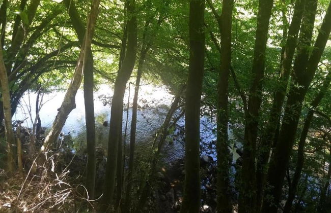 Cosy Apartment in Altshausen Near Castle - Foto 26