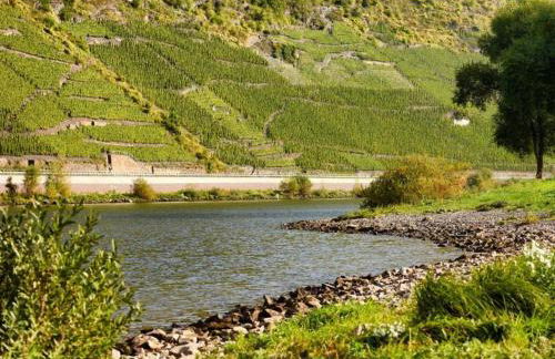 Ernst Lakeside Escape - Foto 58