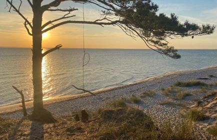 Oasis of Nature - Foto 39