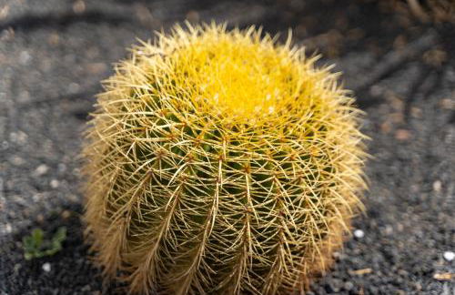 Casa Salinas del Mar - Foto 57