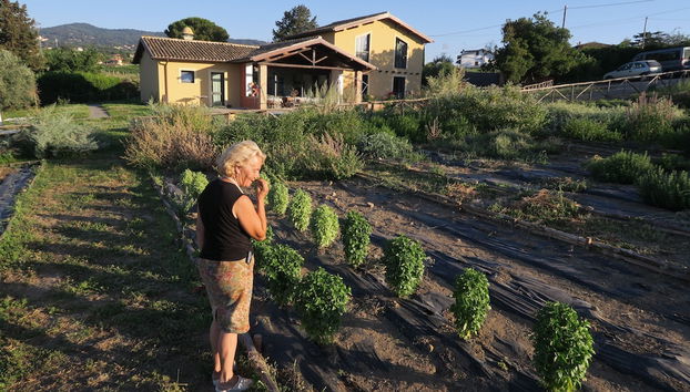 Country House Erba Regina - Foto 2, Imagen principal